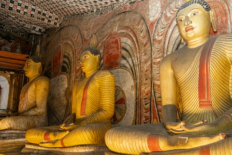 Negombo: Sigiriya, Dambulla & Elephant Safari Day Trip