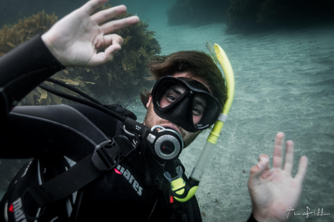 Från Leigh: Goat Island Prova på dykningFrån Leigh: Goat Island Introductory Diving Experience