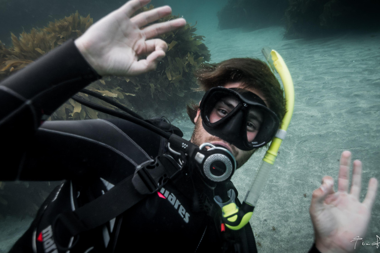 Från Leigh: Goat Island Prova på dykningFrån Leigh: Goat Island Introductory Diving Experience