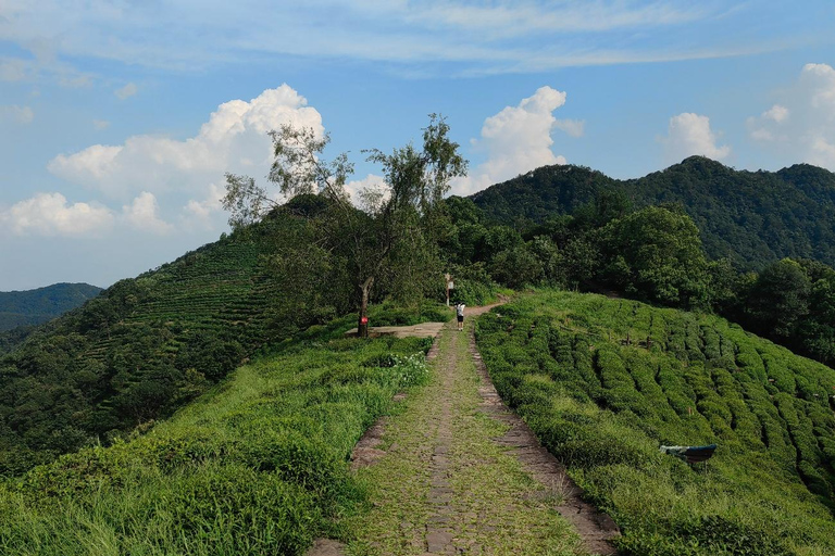 Hangzhou Jiuxi, Shililangdang & Yunqi Day Hiking Tour