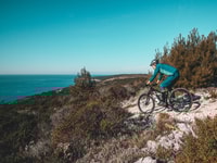 Kamenjak, Rabac, Bike Tour with Olive Oil & Fish Tasting - Housity