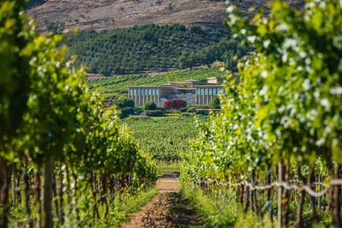 Viña Haras de Pirque Wine Experience