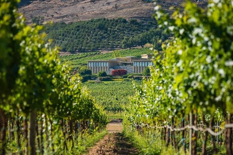 Viña Haras de Pirque Wine Experience