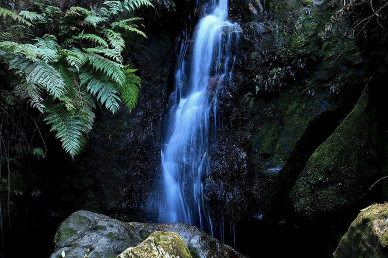 Blue Mountains Active Hike Tour from Sydney: No Rides Sydney: Blue Mountains Active Eco-Hike Tour (No Rides)