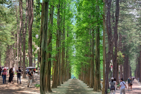 Seoul: Nami Island, Garden of Morning Calm, & Railbike Tour