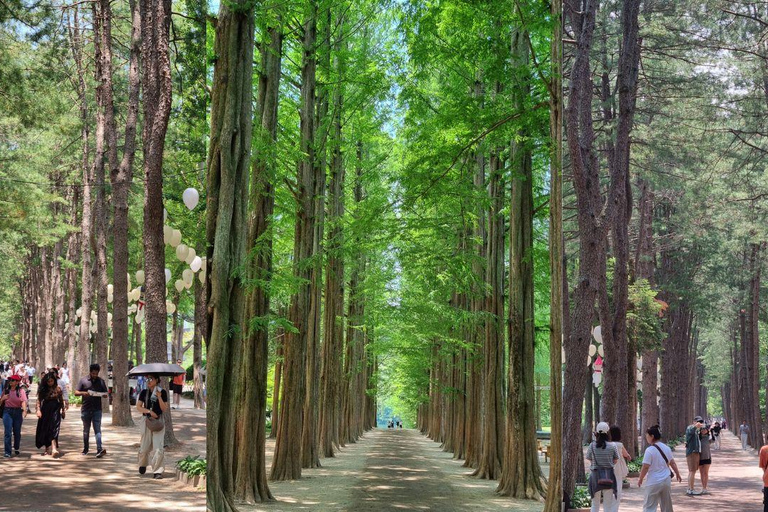 Seoul: Nami Island, Garden of Morning Calm, & Railbike Tour