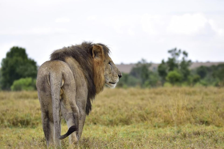 Vanuit Nairobi: Mount Kenia wandel- en safaritocht