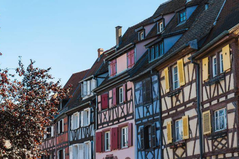 Desde Basilea: excursión de un día a Colmar, Hohkönigsburg, RibeauvilléDesde Basilea: excursión de un día a Colmar, Hohkönigsburg y Ribeauvillé