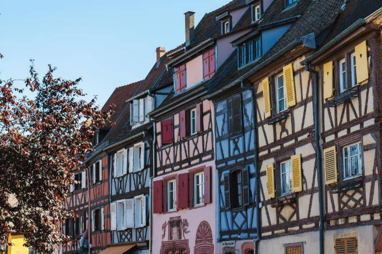 Desde Basilea: excursión de un día a Colmar, Hohkönigsburg, RibeauvilléDesde Basilea: excursión de un día a Colmar, Hohkönigsburg y Ribeauvillé