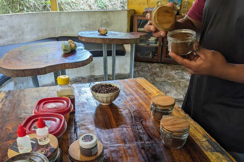 Cacao and Coffee TourCacao and Coffe Tour