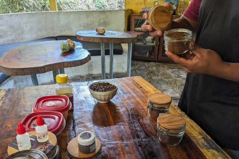 Excursión a las Cascadas, el Cacao y el Café