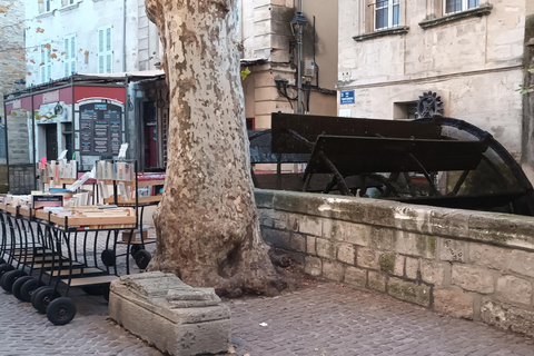 夏季之旅，4天/ 3晚，骑电动自行车探索普罗旺斯夏季之旅，4天/3夜，骑电动自行车探索普罗旺斯