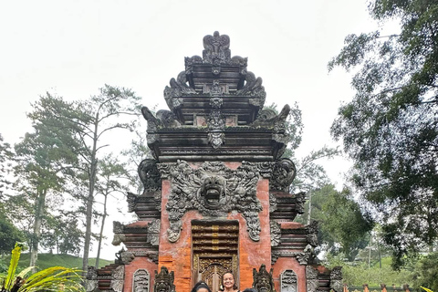 Ubud: Private Half-Day Tour Rice Terrace, Temple & Waterfall Private Ubud Half-Day Tour (Without Entrance Ticket)