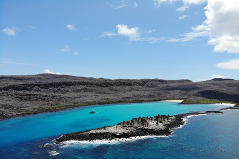 Desde Puerto Ayora: Excursión de un día a la Isla Santa Fe para hacer snorkel