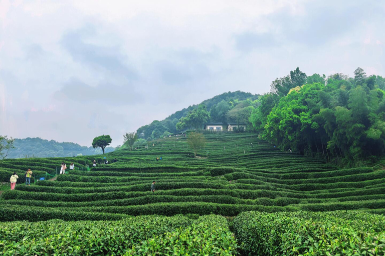 Shanghai to Hangzhou Day Trip: West Lake Boat&Train Tickets Meet at Hangzhou East Station