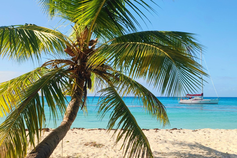 Saona Island: Private Yacht Tour with Lunch & Pickup