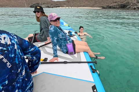 La Paz: Sea Lions & Mega-Paddleboard Tour in Espiritu Santo