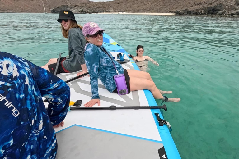 La Paz: Sea Lions & Mega-Paddleboard Tour in Espiritu Santo