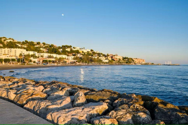 Tour guidato della zona di pesca di Malaga con laboratorio di cucinaTour guidato del quartiere dei pescatori di Malaga con laboratorio di cucina