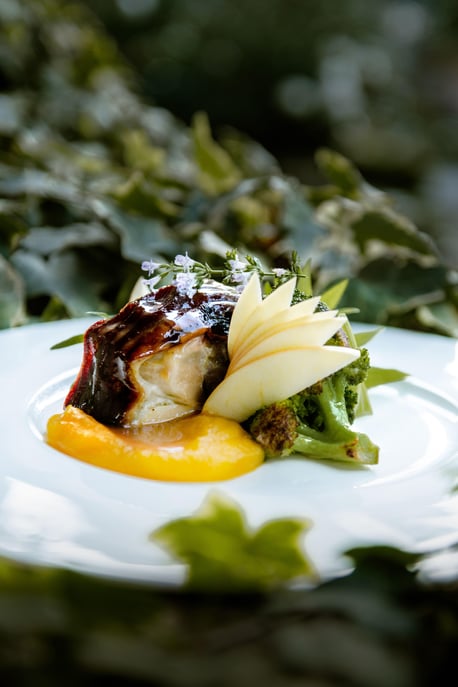 Ab Rom: Private Weinprobe & Mittagessen auf einem historischen Weingut Ab Rom: Private ...