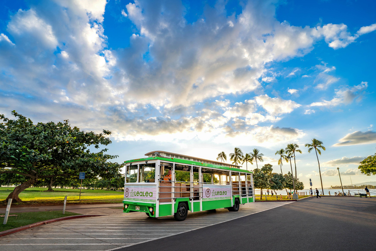 LeaLea Trolley 7 Line + Waikiki Trolley Pink Line 7 day Pass