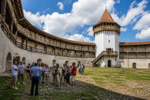 Bucharest: Transylvania Tour Brașov & Dracula's castle private tour