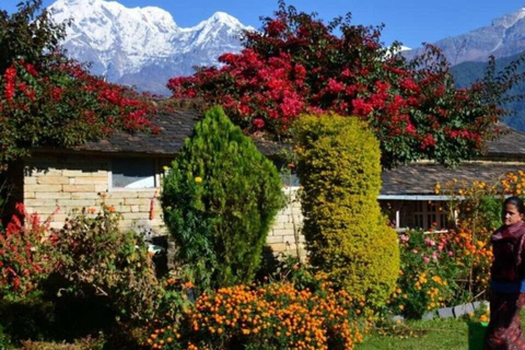 Guided Tour: Explore the rich cultural heritage of PokharaEntire Pokhara Tour