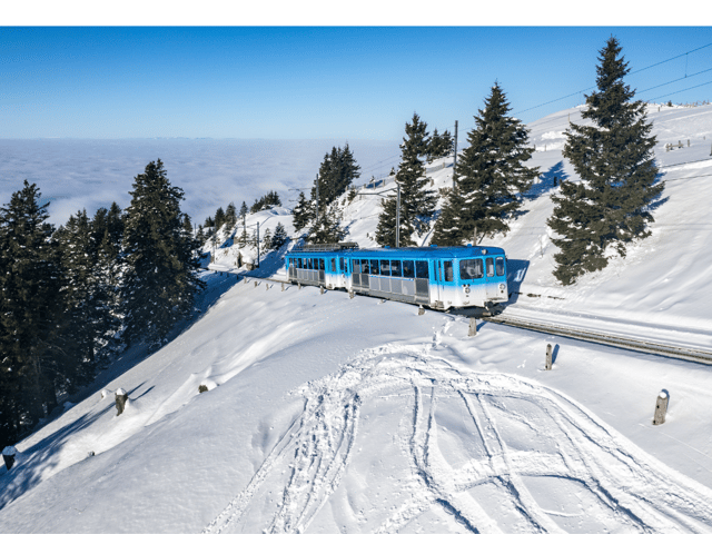 From Zurich: Rigi & Lucerne with Cruise Private Day Trip