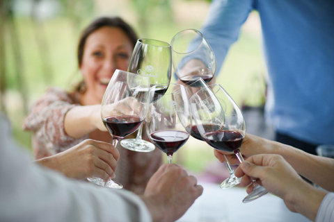 Montefioralle: Winery Tour and Wine Tasting