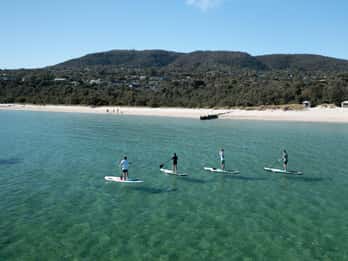 Península de Mornington: SUP, caminhada e viagem a fontes termais com almoço