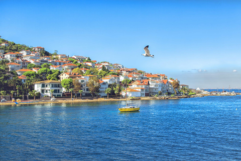 Istanbul: Princes' Islands Cruise with Lunch & Transfer Istanbul: Princes' Islands Cruise with Transfer