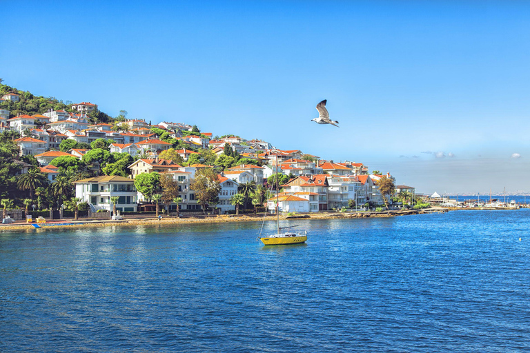 Istanbul: Princes' Islands Cruise with Lunch & Transfer Istanbul: Princes' Islands Cruise with Transfer