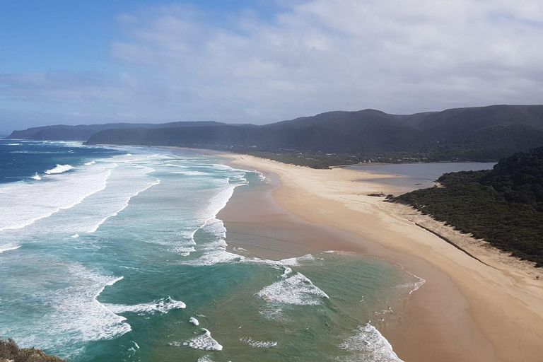 5-daagse rondreis door Zuid-Afrika: Kaapstad, safari en Garden Route5-daagse rondreis door Zuid-Afrika: Kaapstad, safari en de Tuinroute