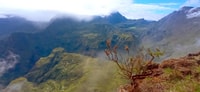 Half-day tour Maïdo with Mafate view in Réunion Island - Housity
