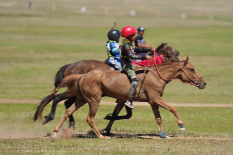 Nomadic Mongolia: Gobi, Steppe & Heritage Tour