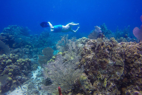 La Romana: Catalina Island Snorkeling Day Trip with Lunch
