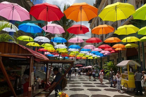 Mauritius Northern Tour