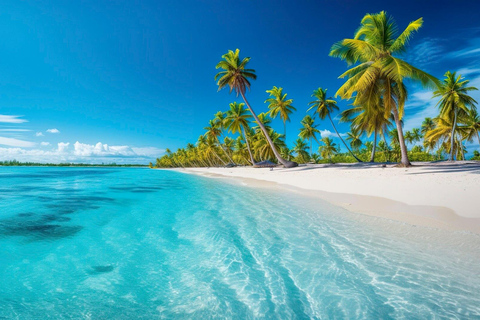 Schnorcheln auf Catalina Island von Punta Cana aus