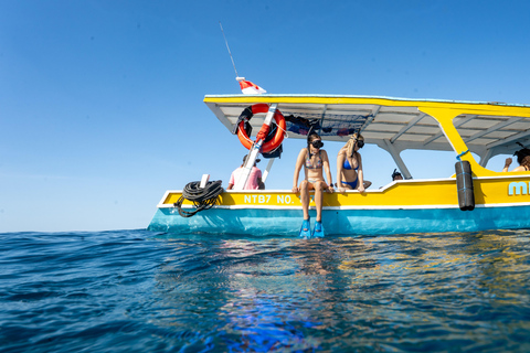 From Gili Meno: Private & Group Gili Islands Snorkeling 4-Hour Private Snorkeling Tour with GoPro Camera