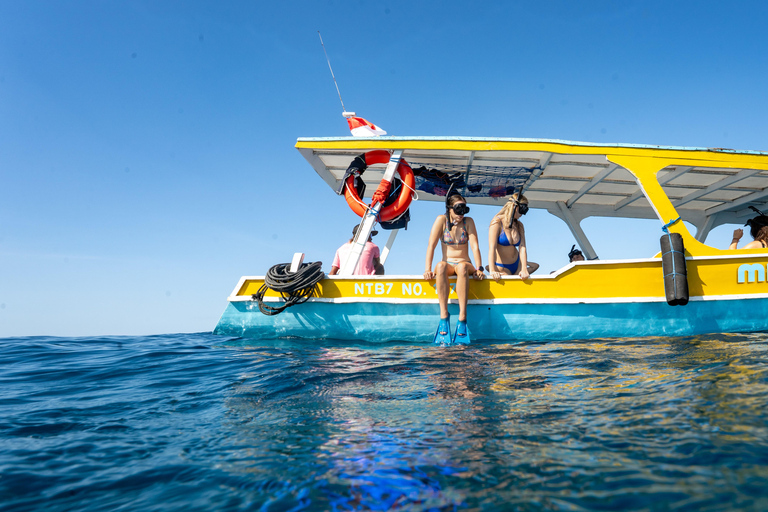 From Gili Meno: Private & Group Gili Islands Snorkeling 4-Hour Private Snorkeling Tour with GoPro Camera