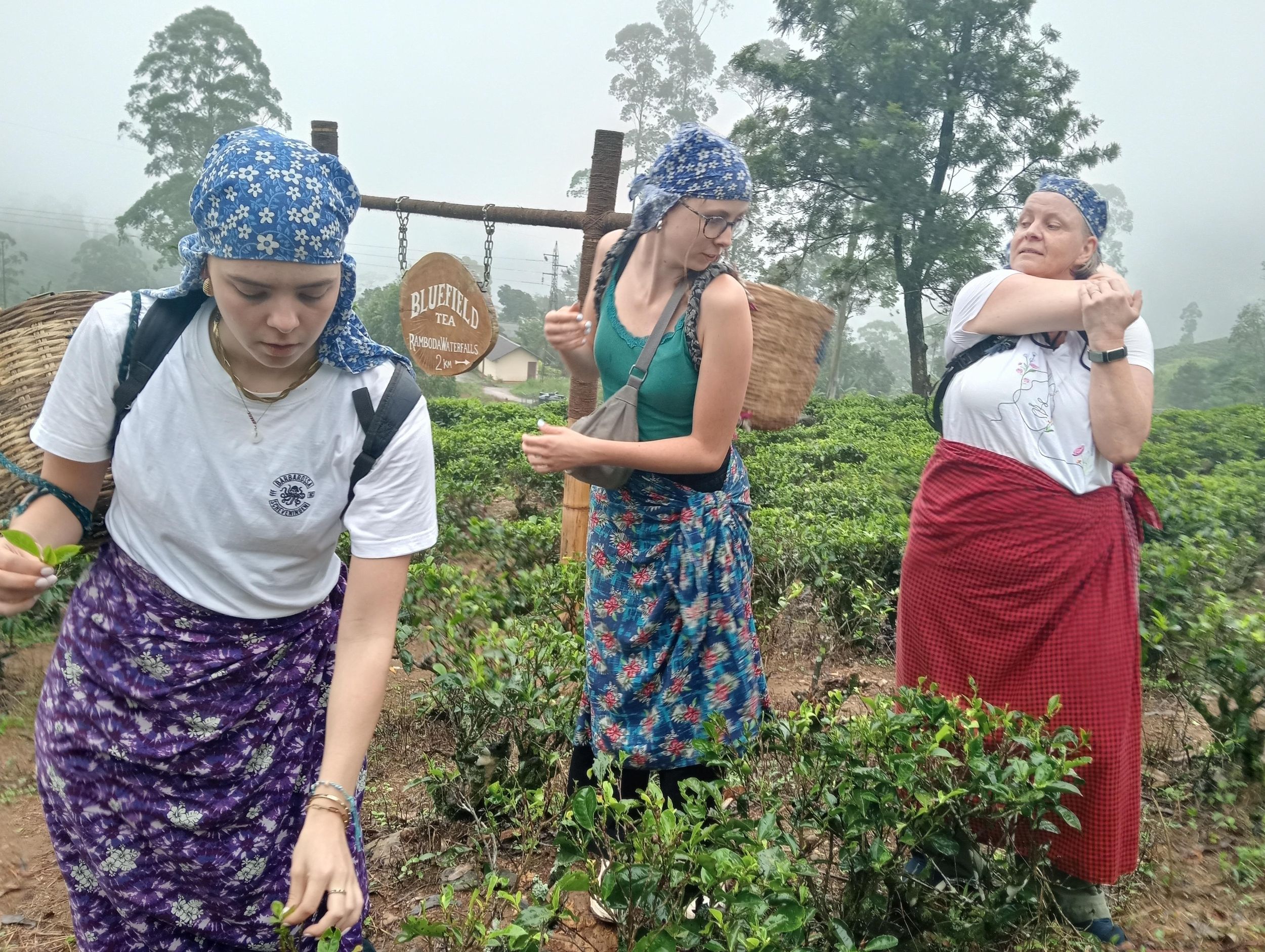 Nuwara Eliya – Erkundung der Teeplantage und der Wasserfälle.