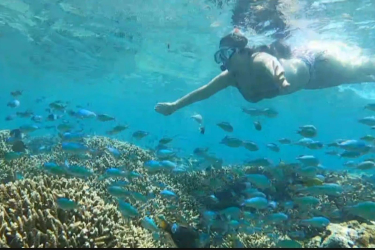 De Gili Trawangan : Excursão de Snorkeling em Grupo 3 Ilha Gili