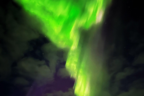 Rovaniemi: Aurora Hunting &amp; Photography Tour