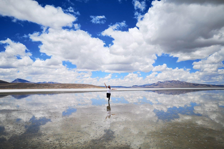 Visite de la lagune de Salinas et de la réserve nationale d'Arequipa