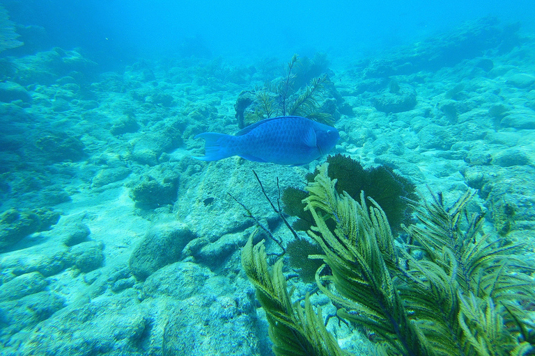 Southpoint Divers: Afternoon Reef Dive Trip