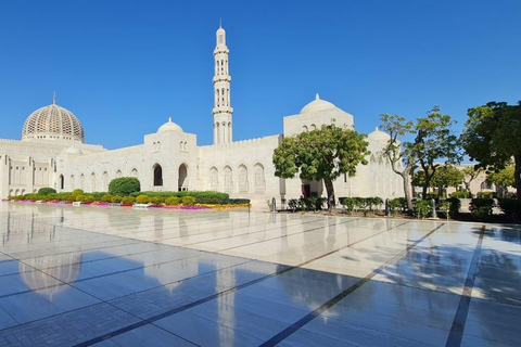 Muscat: Half-Day Guided City Tour with Hotel Pickup