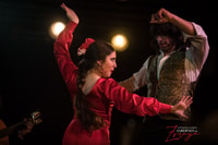 Grenade, Salon du flamenco à Albaycin - Jardines de Zoraya - Hizvo