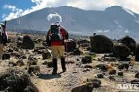 Meilleur circuit d&#039;une journée : 1 jour Kilimanjaro Lemosho Route