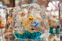 Venice, Murano Island and Glass Factory Private Guided Tour - Hizvo