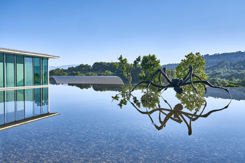Aix-en-Provence: Art & Architecture Tour of Château La Coste